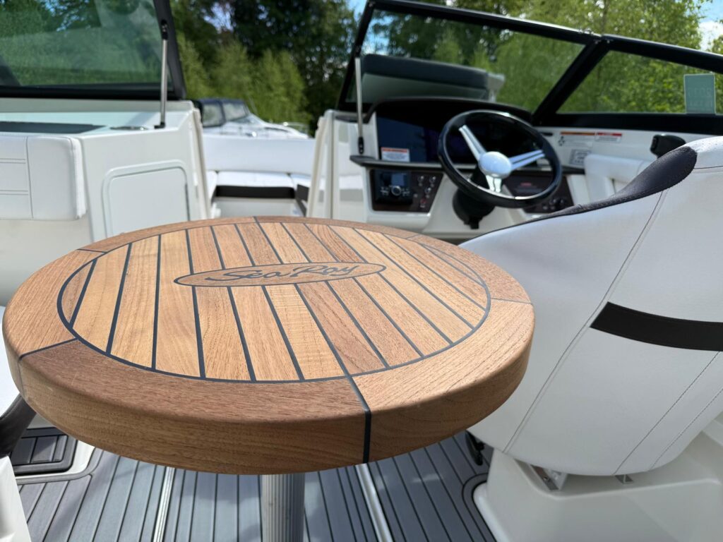 2019 Sea Ray 190 SPX image 16