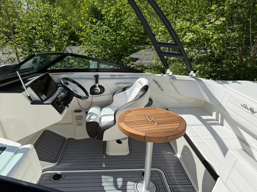 2019 Sea Ray 190 SPX image 8