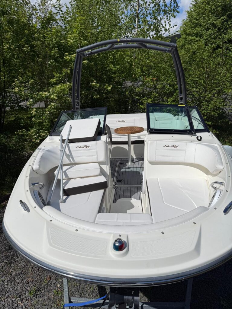 2019 Sea Ray 190 SPX image 9
