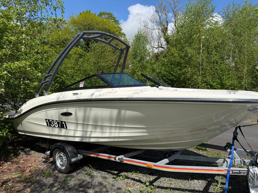 2019 Sea Ray 190 SPX image 3