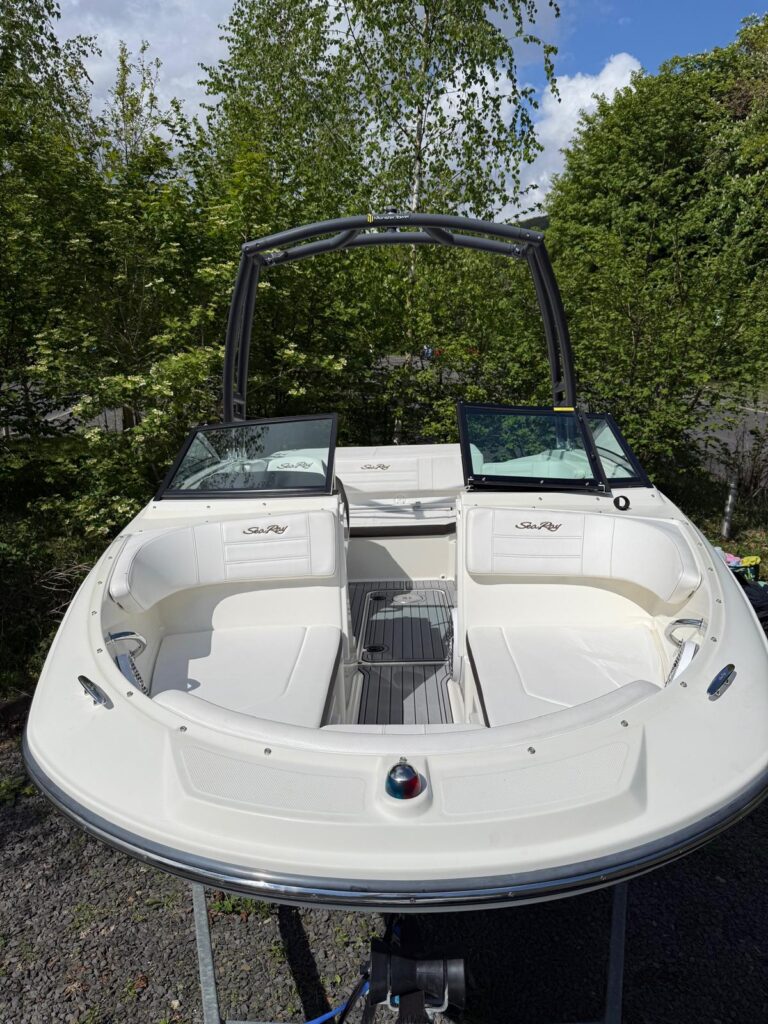 2019 Sea Ray 190 SPX image 6