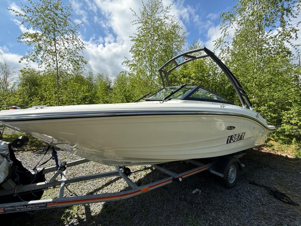 2019 Sea Ray 190 SPX image 2