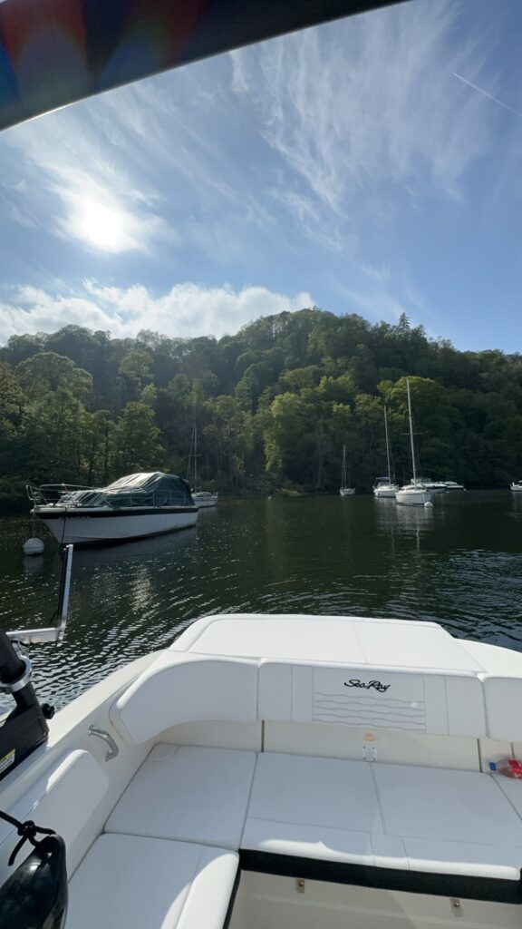 2023 Sea Ray 210 SPX image 8